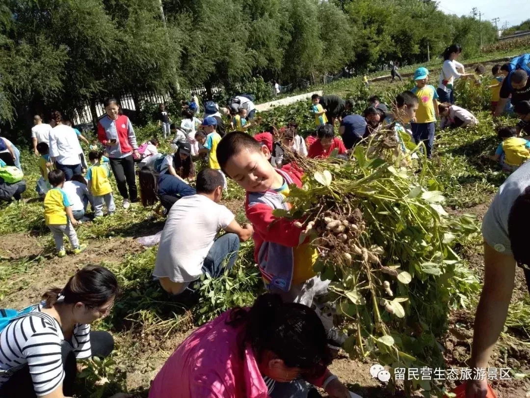 浓情中秋钜惠，合家团圆同乐