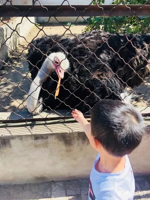 浓情中秋钜惠，合家团圆同乐