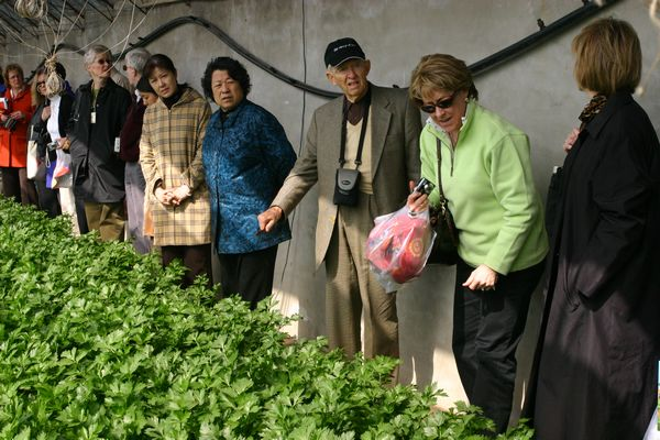 留民营旅游观光