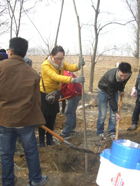 到留民营来植树