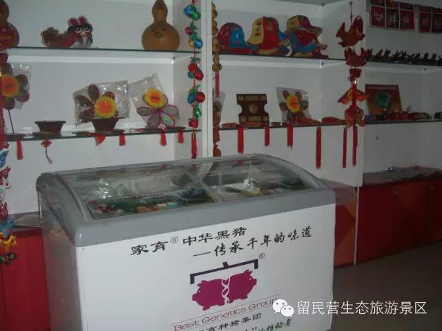 秋天来了，快来留民营寻找“秋”的味道