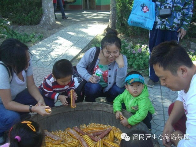 秋天来了，快来留民营寻找“秋”的味道