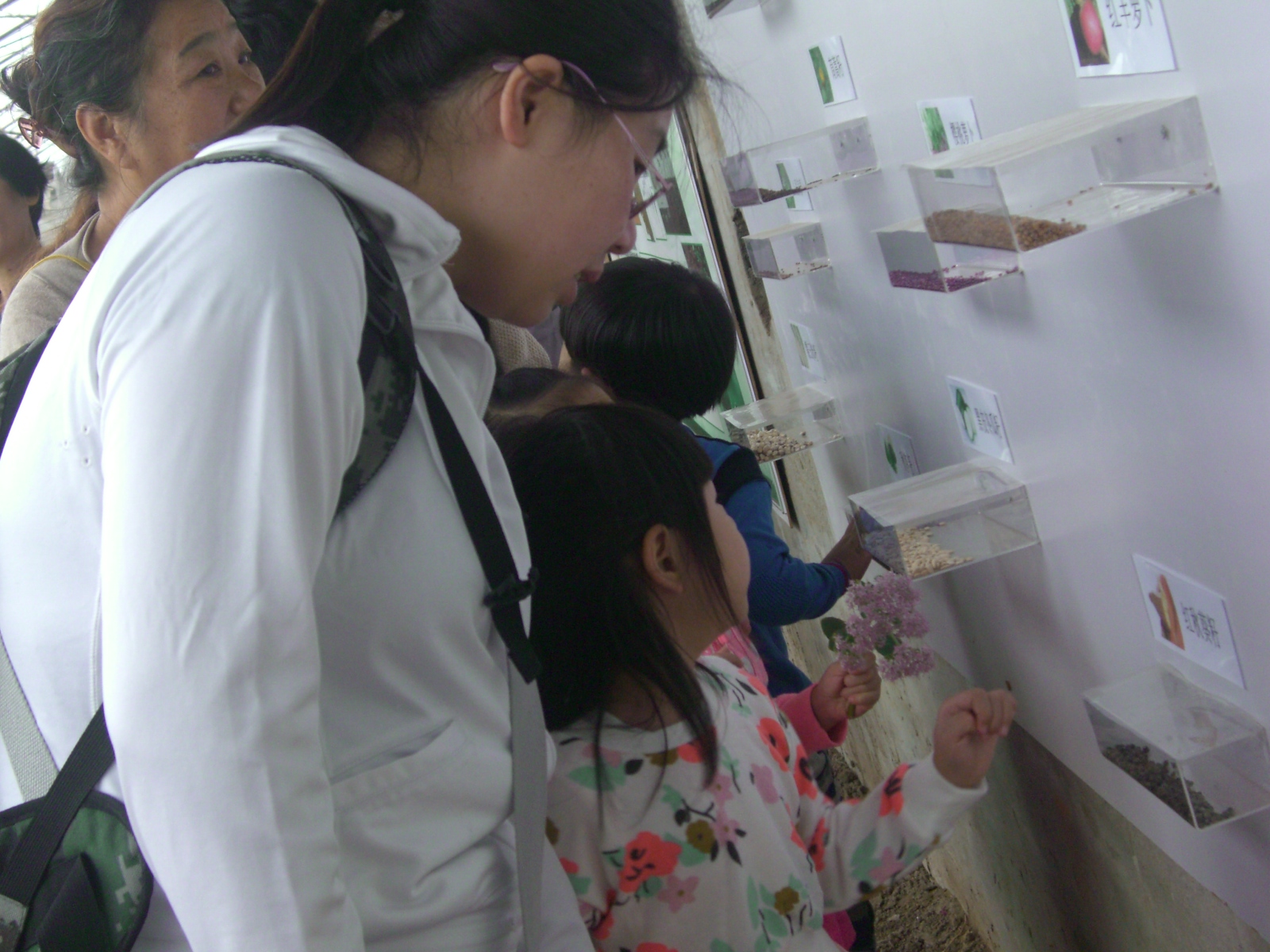 留民营秋季幼儿园活动精彩瞬间